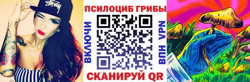 мега как войти  Демидов  Галлюциногенные грибы Cubensis 