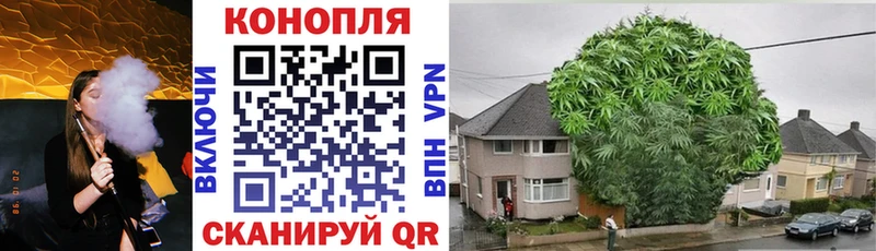 купить  сайты  Демидов  Марихуана тримм 